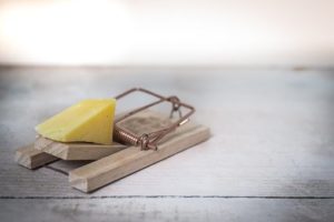 a mouse trap