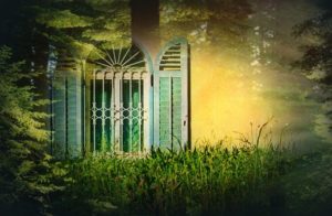 window shutters