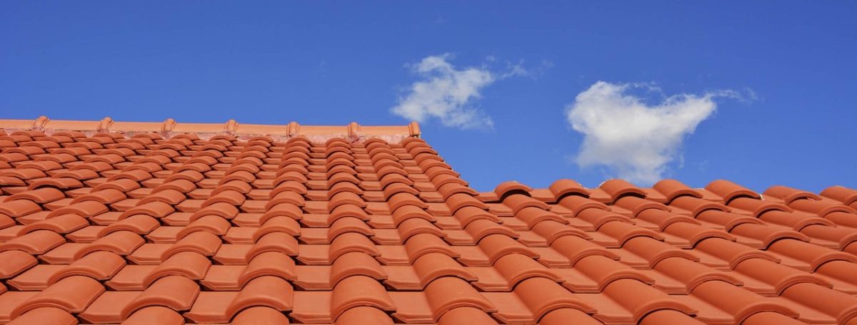 Signs of Water Damage on Roofs